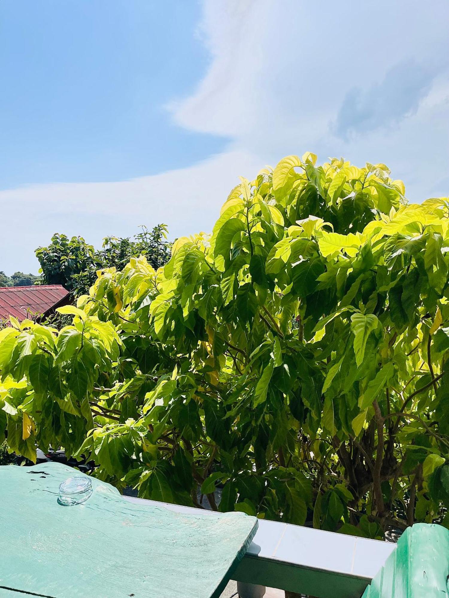 Tanouy Garden Villa Baan Khai Exterior photo